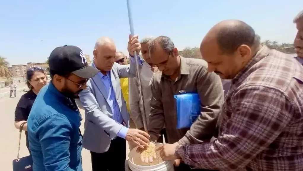 محافظ أسيوط يعلن بدء موسم حصاد القمح 2026 .. وتوريد 387 طنا في اليوم الأول