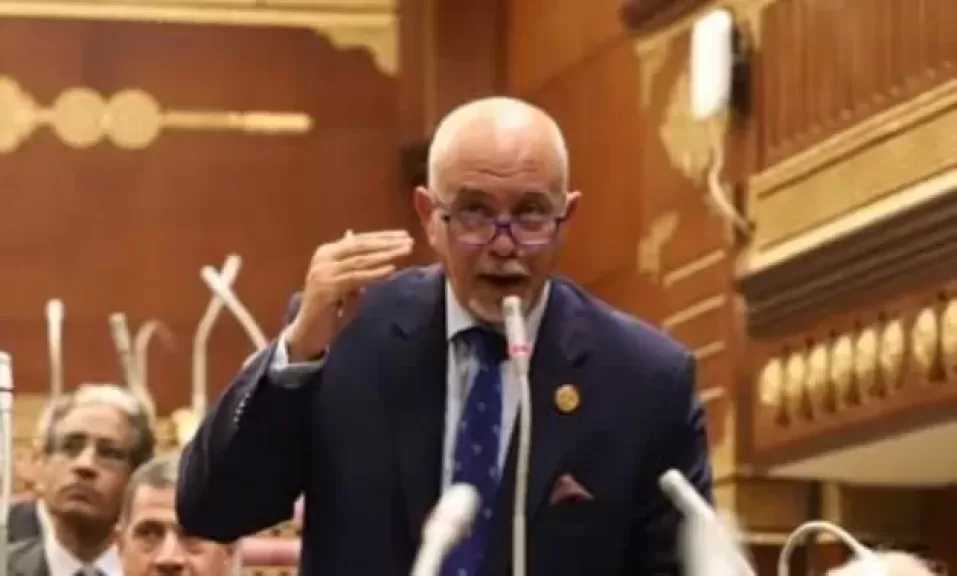 النائب حازم الجندى: توجيهات الرئيس السيسى تدفع الإنتاج الحربى ليقود الصناعة الوطنية