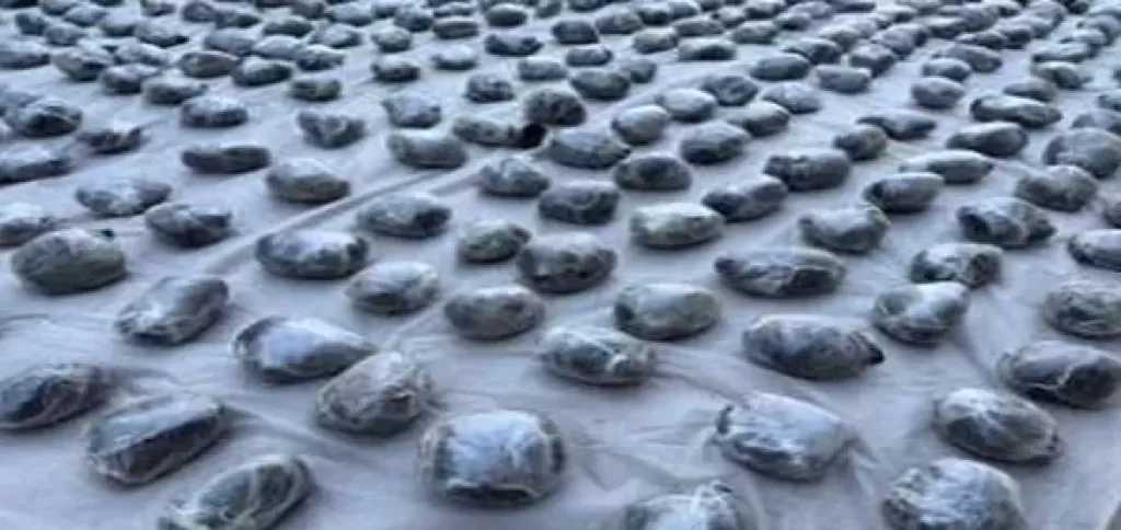 ضبط 224 سلاحا ناريا و361 كيلو مخدرات خلال حملات على مستوى الجمهورية