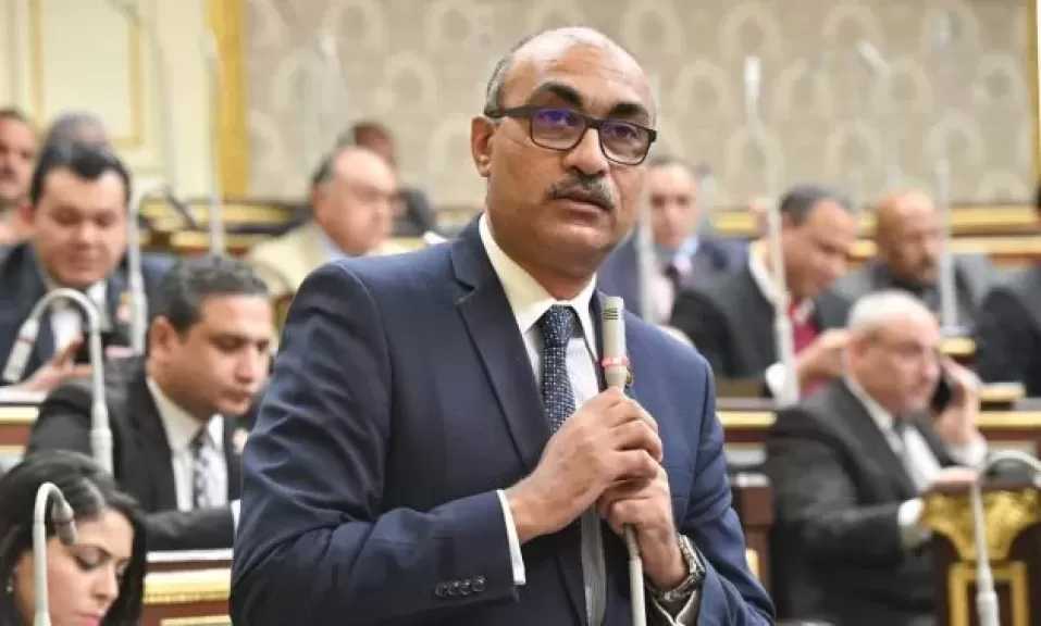 النائب إيهاب منصور ينتقد زيادة سعر العدادات الكودية: الحكومة فشلت فى التصالح فلجأت لجيب المواطن