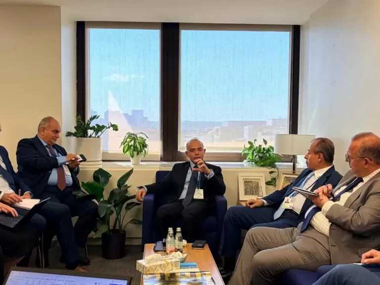 الدكتور محمد فريد صالح: هدف الطروحات تعظيم قيمة الأصول وليس مجرد السيولة