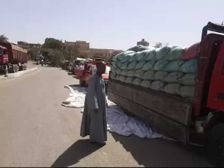 محافظ أسيوط: توريد 3560 طن قمح محلي للصوامع والشون