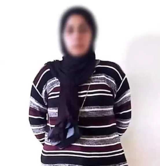 ضبط سيدة بتهمة محاولة تسميم كلب حراسة بإلقاء طعام له بالغربية