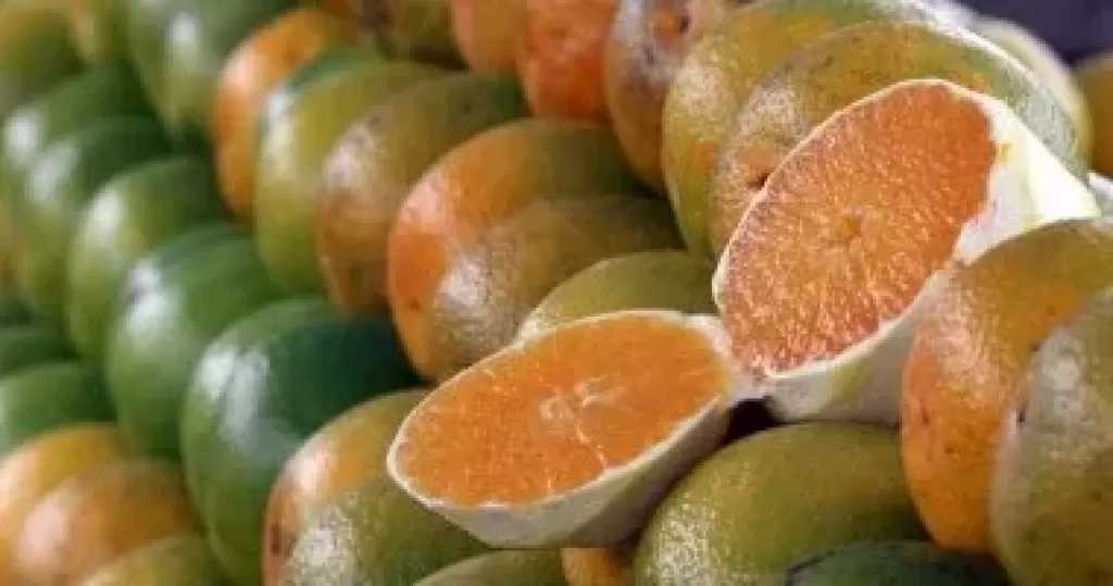 8 أسباب لتناول الفواكه الحمضية وتحسين صحتك