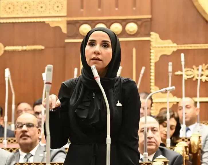 النائبة ولاء هرماس تطالب بتطبيق توصيات «الشيوخ» لحل أزمة تنسيق طلاب مدارس STEM