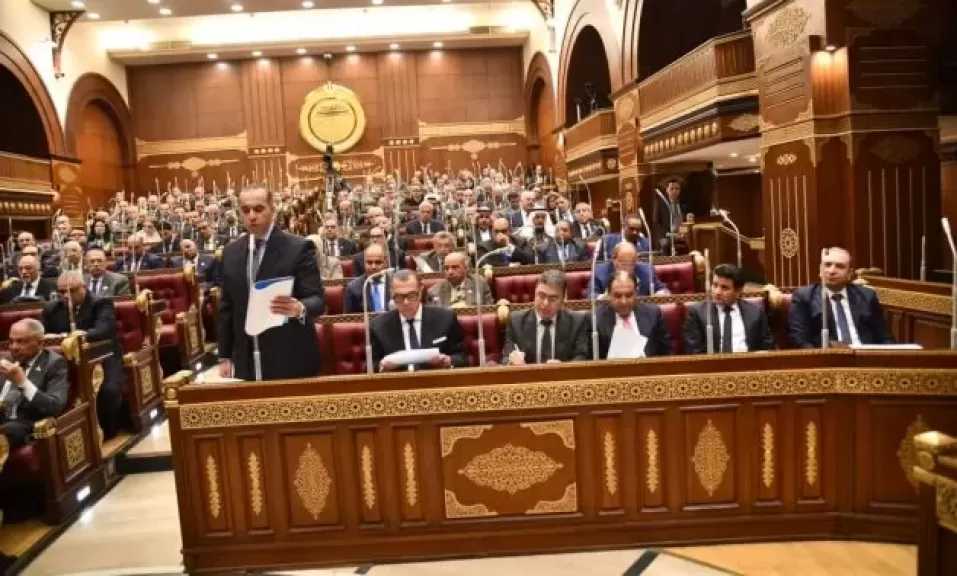النائب رجائي عزت يطالب برفع مخصصات الصحة في الموازنة الجديدة لتحقيق العدالة العلاجية