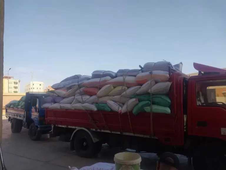 توريد 28 ألف طن قمح لمواقع التخزين والصوامع بالدقهلية.. صور