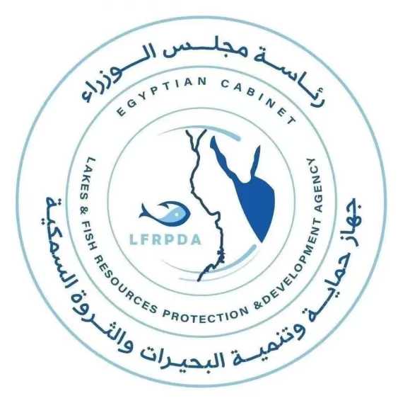 ”المدير التنفيذي لجهاز حماية وتنمية البحيرات”: اعتماد أوروبي لخطط جهاز حماية وتنمية البحيرات تمهيدًا لتصدير الأسماك المصرية