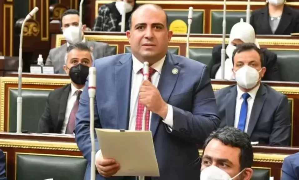 نائب: زيارة الشيخ محمد بن زايد لمصر يُعزز الرؤية المشتركة بين البلدين لبناء مستقبل أكثر استقرارًا
