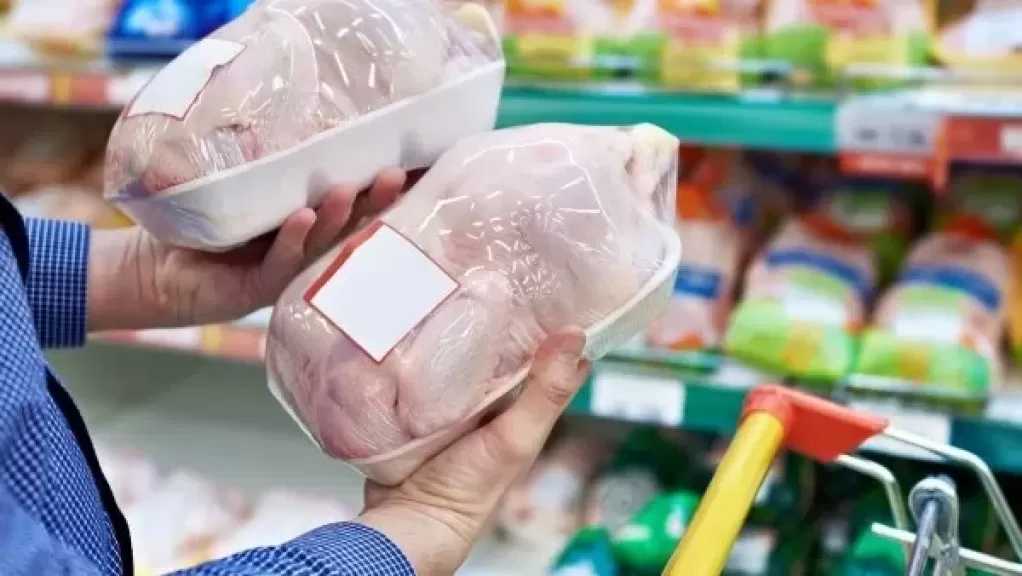 ثروت الزيني: مصر تمتلك فائضًا 20% من الدواجن وتستهدف التوسع بالتصدير