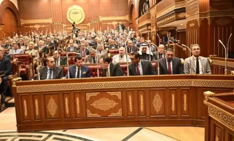 النائبة إنجي نصيف: توجيهات الرئيس السيسي تعزز دور المصريين بالخارج كشريك أساسي في التنمية