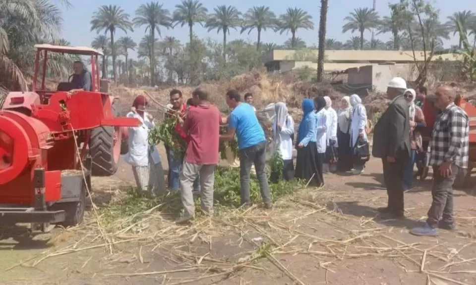 جامعة القاهرة تدشّن وحدة متخصصة لتدوير المخلفات الزراعية بالتعاون مع وزارة البيئة