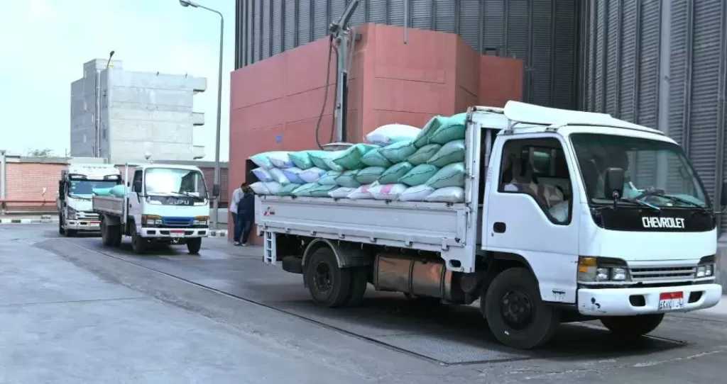 محافظ البحيرة: توريد 32800 طن قمح.. ولجان متخصصة للفرز والاستلام لضمان الجودة