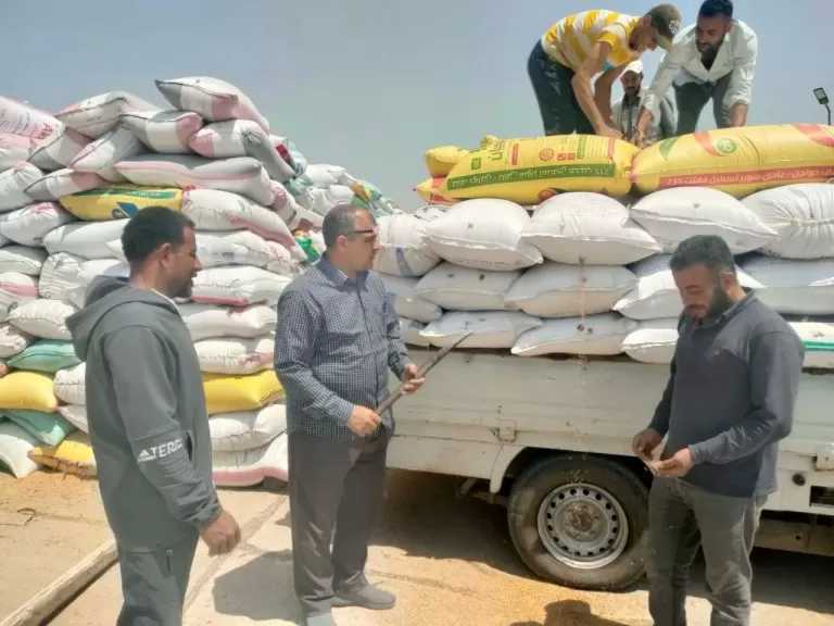 توريد 166 ألف طن قمح إلى صوامع وشون الشرقية