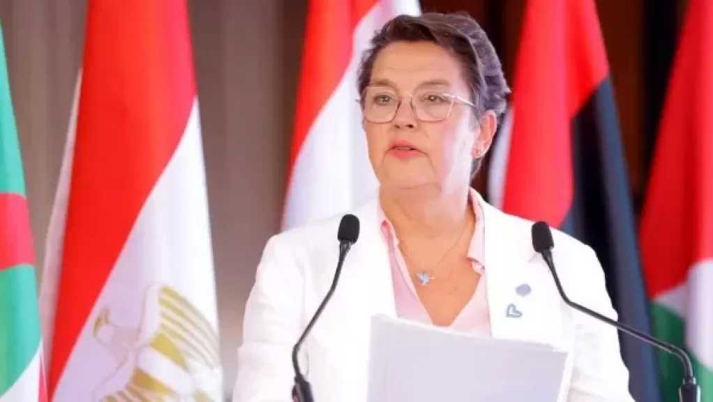 مسؤولة أممية تشيد بخطوات مصر فى مكافحة جرائم تقنية المعلومات