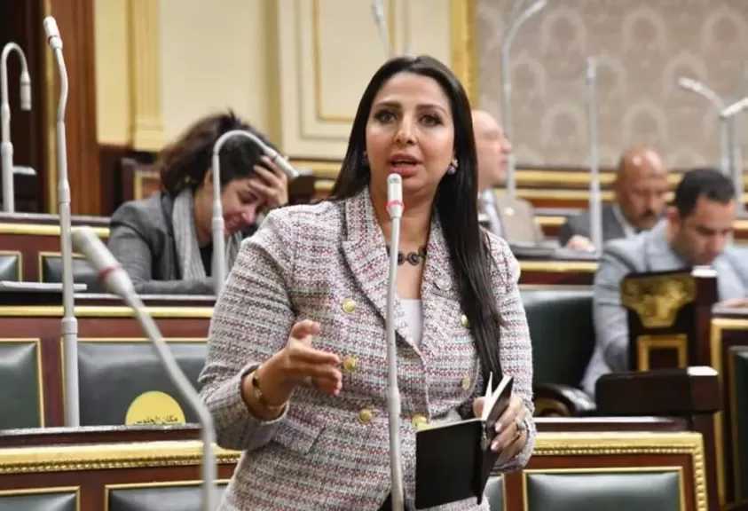 النائبة نشوى الشريف تتقدم بطلب إحاطة بشأن تضرر العاملين في شركة النيل للمجمعات الاستهلاكية