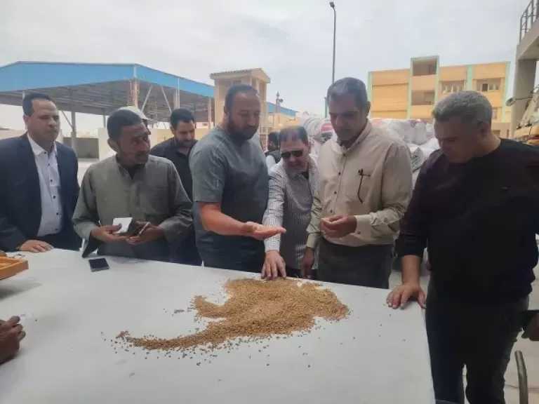 توريد 42000 طن قمح لشون وصوامع البحيرة