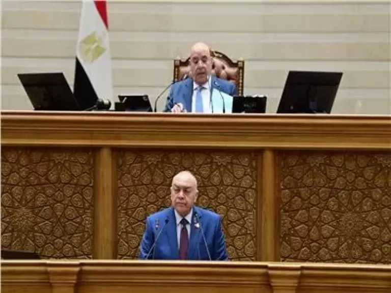 رئيس نقل النواب: زيادة قسط الخزانة العامة لصالح صندوق المعاشات بنسبة 7% خطوة إيجابية