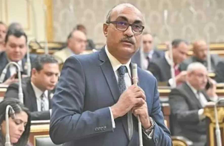 النائب إيهاب منصور عن الحد الأدنى للمعاشات: دولار في اليوم.. ماذا يفعل لأصحاب المعاشات؟