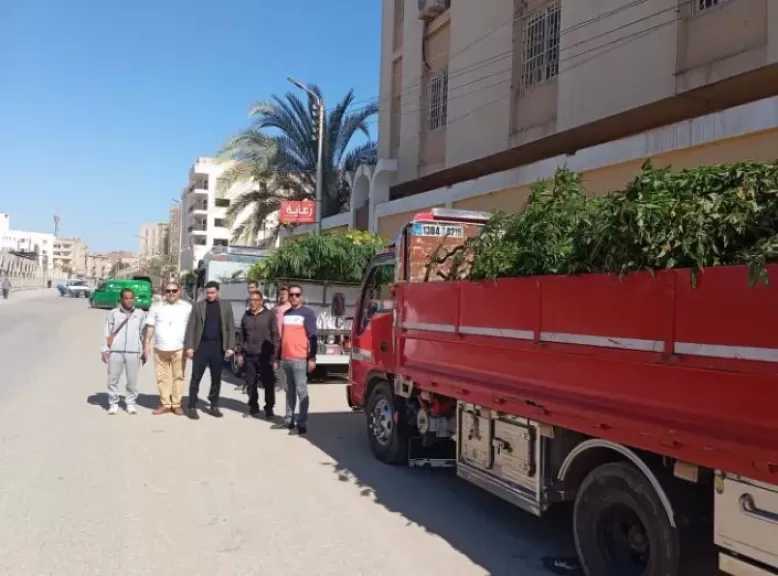محافظ الفيوم يتابع أعمال استلام دفعة جديدة من الأشجار ضمن مبادرة 100 مليون شجرة