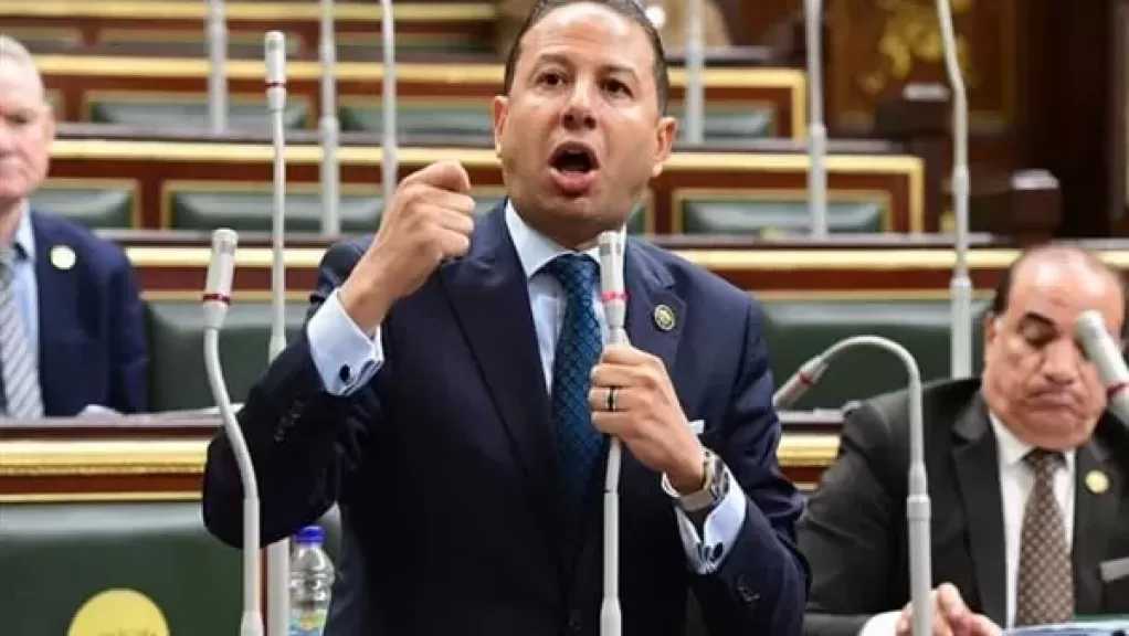 النائب حسن عمار: نحن أمام حساب ختامي للموازنة يخدم الدائنين أكثر مما يخدم مصلحة المواطن