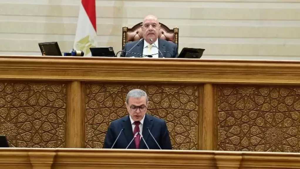 رئيس القوى العاملة بالنواب: وزارة المالية قامت بمجهود رائع خلال الفترة الماضية رغم كل الآلام الموجودة
