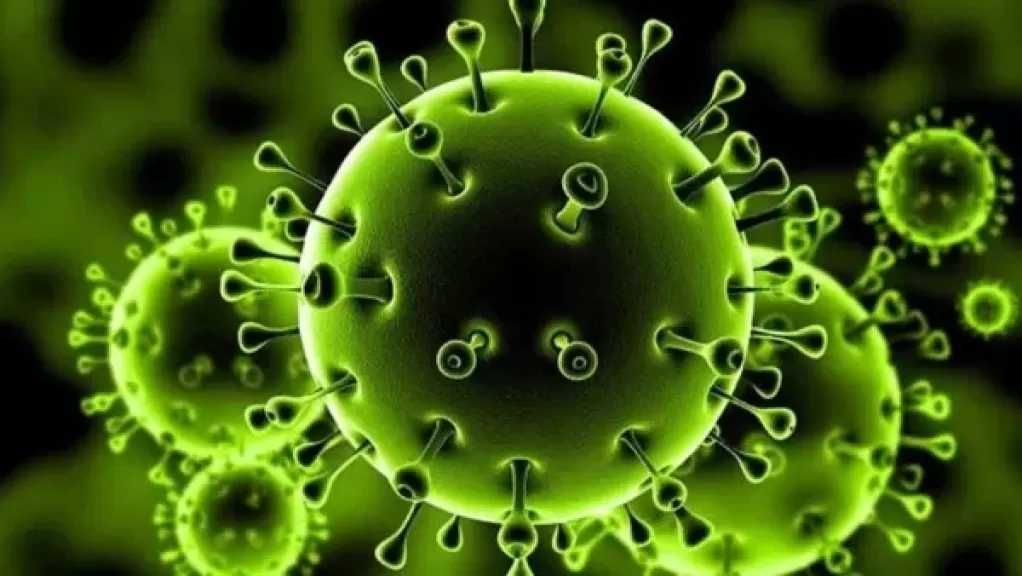 لا مضاعفات.. لجنة مكافحة كورونا: الفيروس مازال متواجدا لكن أعراضه ضعيفة