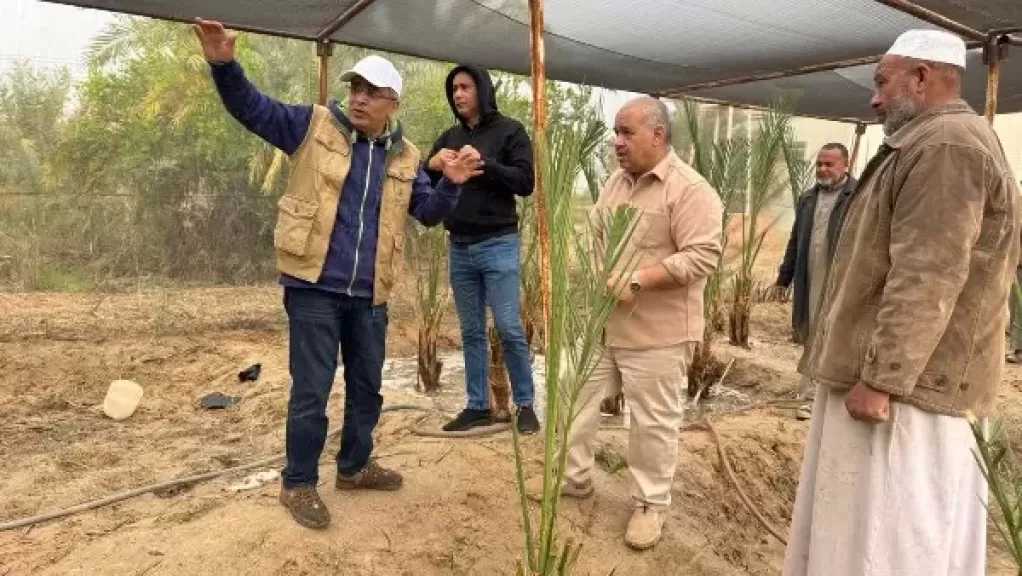 بحوث الصحراء يواصل متابعة الأنشطة الإرشادية والخدمية بمحطاته في سيوة والوادي الجديد