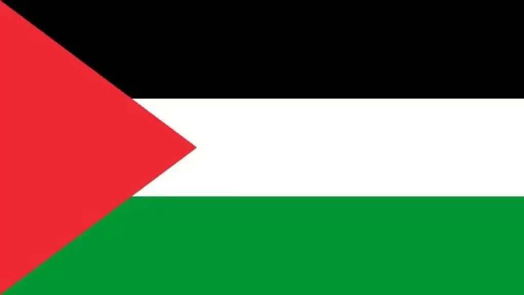 مسؤول فلسطيني: مصر شريان المساعدات النابض لإغاثة سكان قطاع غزة