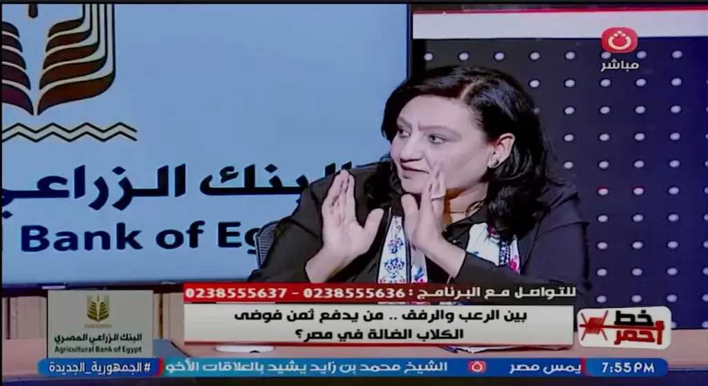 ناشطة بحقوق الحيوان: الجمعيات الأهلية تعمل تحت رقابة الدولة في قضايا الكلاب الضالة