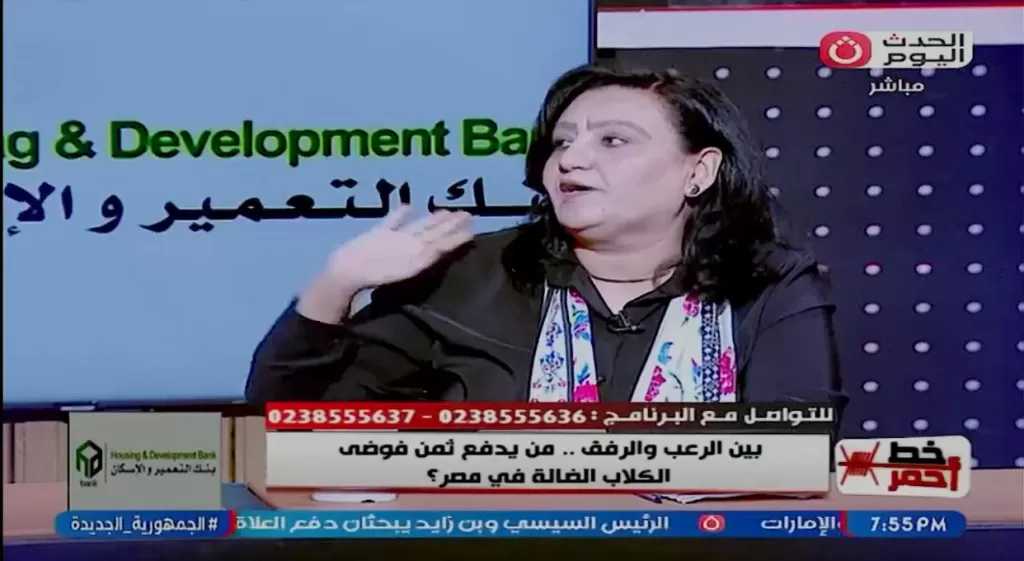 تمويل شخصي وجهود تطوعية.. الوجه الآخر لعمل ناشطي حقوق الحيوان