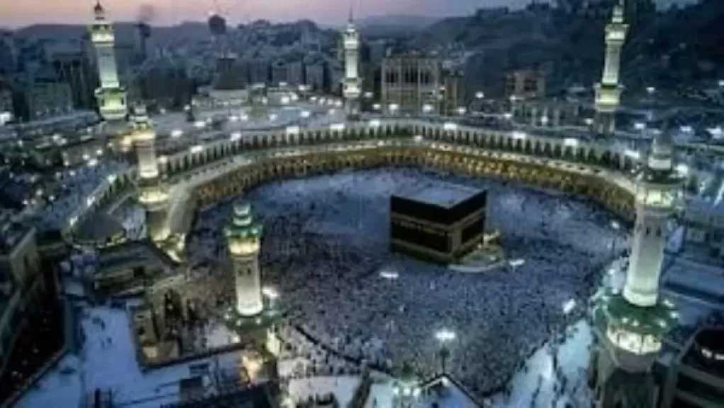 اليوم.. انطلاق أول أفواج حجاج الجمعيات الأهلية إلى المدينة المنورة