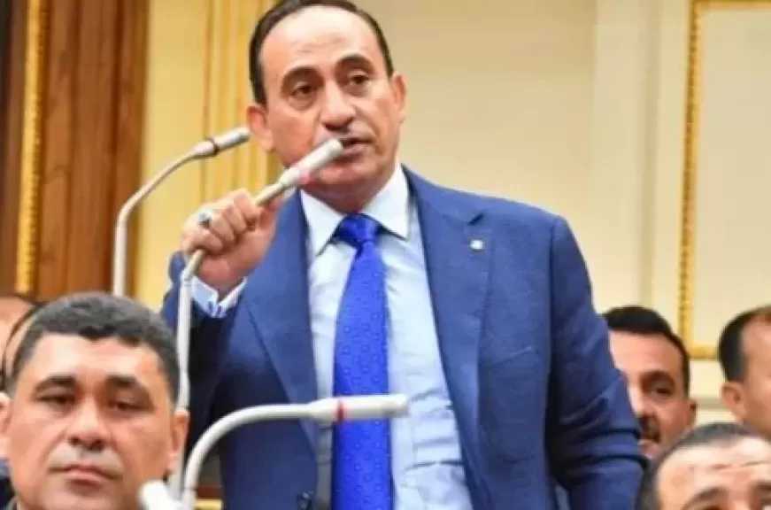 بيان عاجل للنائب محمد زين الدين بشأن خطة الحكومة للتعامل مع مخاطر فيروس هانتا