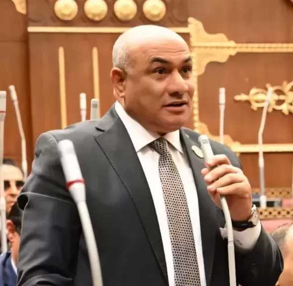 نائب بـ”الشيوخ”: استعراض الرئيس لقدرات الدولة يعكس جاهزية مصر لمواجهة الأزمات
