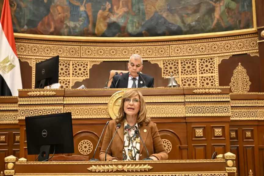 النائبة هبة شاروبيم تستعرض طلبها أمام مجلس الشيوخ لاستيضاح سياسة الحكومة بشأن تطوير المطارات المصرية ومدى جاهزيتها