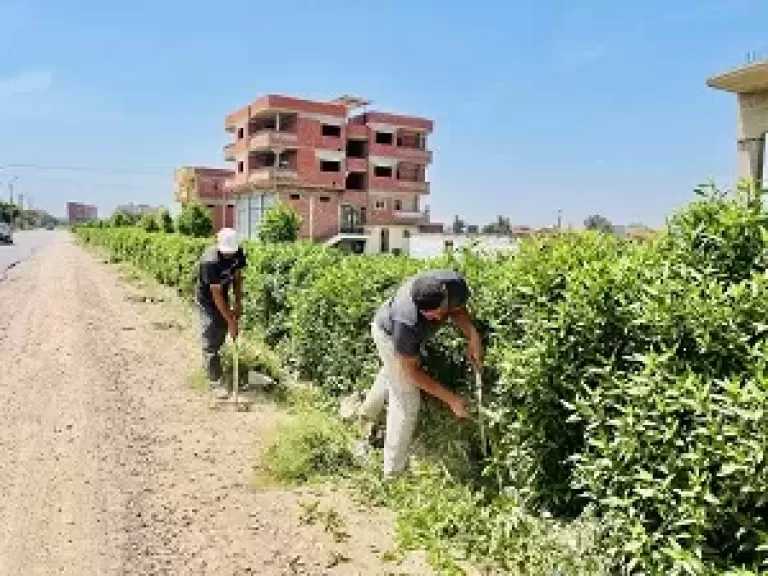 محافظ كفرالشيخ يتابع فعاليات مبادرة «جميلة يا بلدي» بمصيف بلطيم
