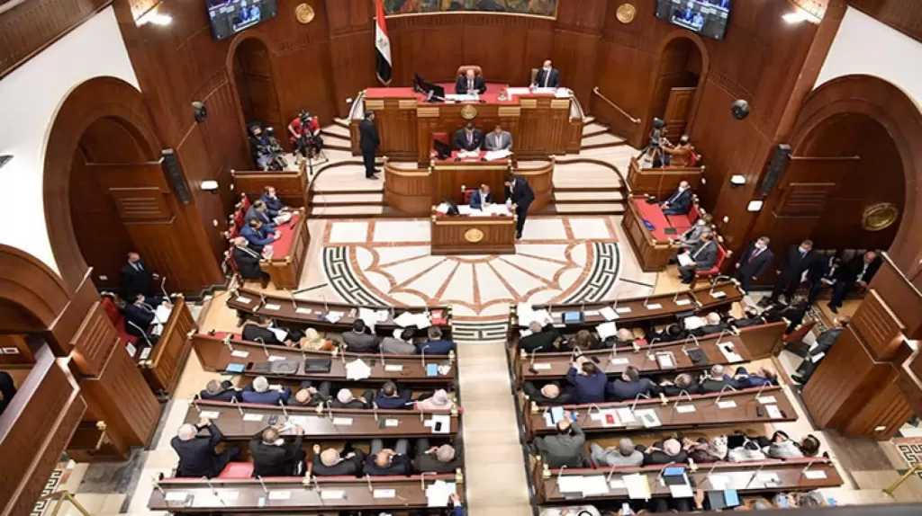 النائبة رانيا عز الدين:فاتتني طائرة رغم وقوفي في الطابور بسبب عدم وجود إعلانات واضحة عن الرحلات