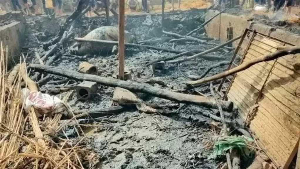 نفوق 22 رأس ماشية إثر حريق هائل داخل حظيرة مواشي في قرية كفر محمود بالمنوفية