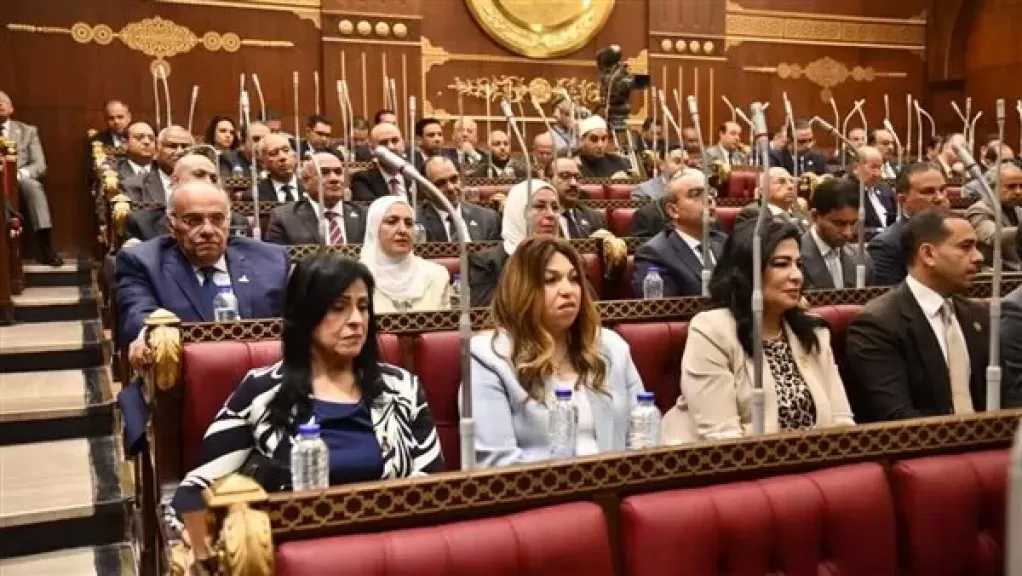 النائبة أميرة تادرس تنتقد طول فترات الانتظار في المطارات وتأخر الحقائب أو تلفها