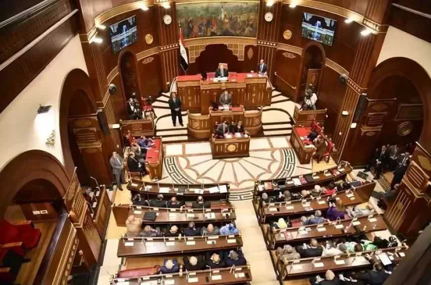 عضو بـ”الشيوخ”: الدبلوماسية المصرية تتحرك برؤية شاملة لحماية الأمن القومي العربي