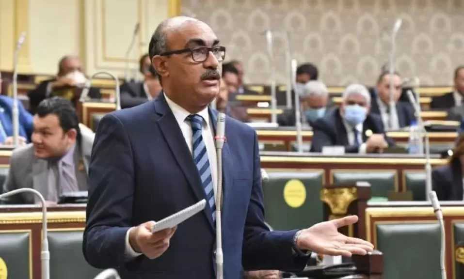 النائب إيهاب منصور: هناك نية برفع سن المعاش لـ 61 عاما بدءا من العام المقبل