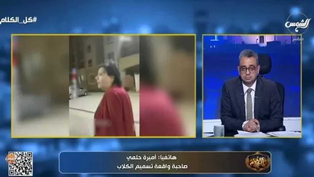 صاحبة واقعة تسميم الكلاب: سكبوا الجاز على يدي وسيارتي.. والكاميرات حسمت القضية بالنيابة