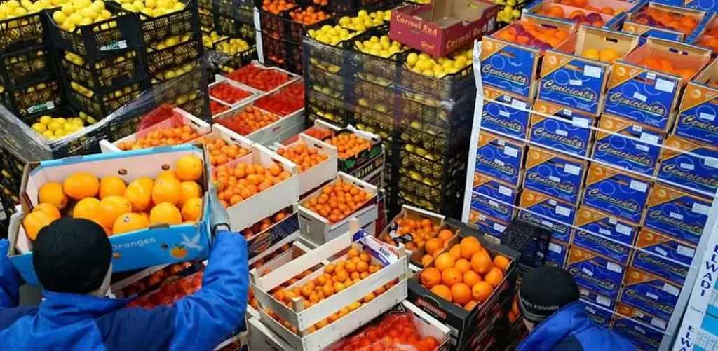 مصر تصدر 265 ألف طن مواد غذائية خلال الأسبوع الماضي