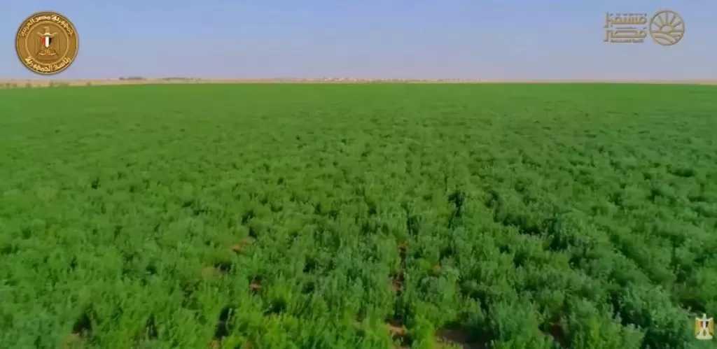 الرئيس السيسي يشاهد فيلما تسجيليا عن الدلتا الجديدة