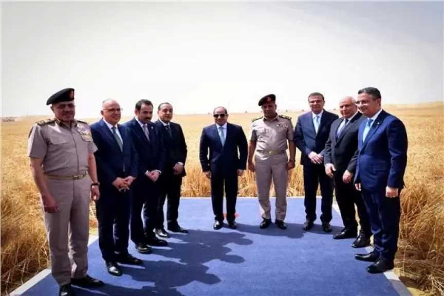 الوفد يُشيد بجهود الرئيس السيسي والقوات المسلحة والشركات الوطنية في تنفيذ «الدلتا الجديدة»