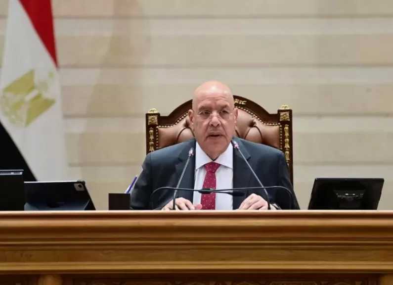 المستشار هشام بدوي: أمن ليبيا من أمن مصر