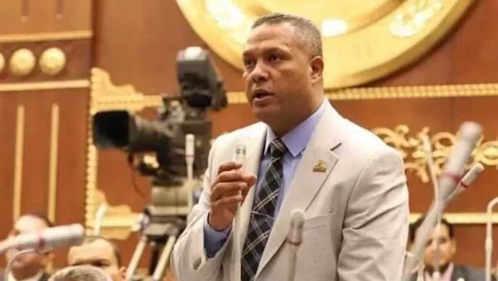 النائب محمد حمزة: مشروع الدلتا الجديدة يعكس إرادة الدولة لتأمين مستقبل الشعب غذائيا وتنمويا