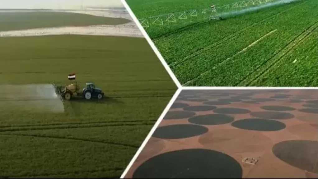 خبير: مشروع الدلتا الجديدة نقلة تنموية كبرى ونوعية للدولة المصرية