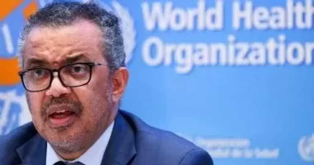 خبيرة بالصحة العالمية: عقار إيفرمكتين غير فعال لعلاج فيروس هانتا