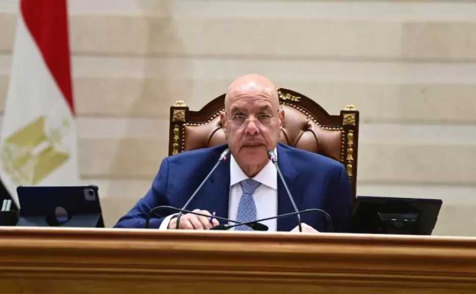مجلس النواب يرفض حذف «القروض» من موارد مركز الأمن البيولوجي